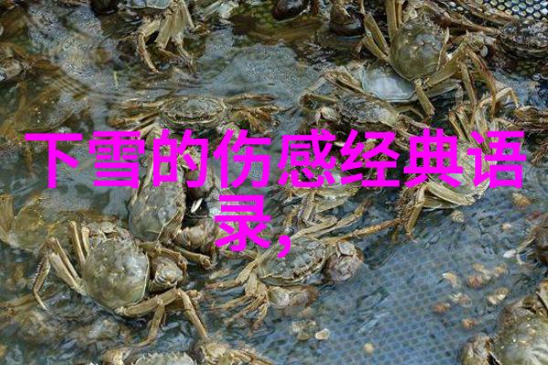 早安愉快一句话我今天要告诉你的秘密