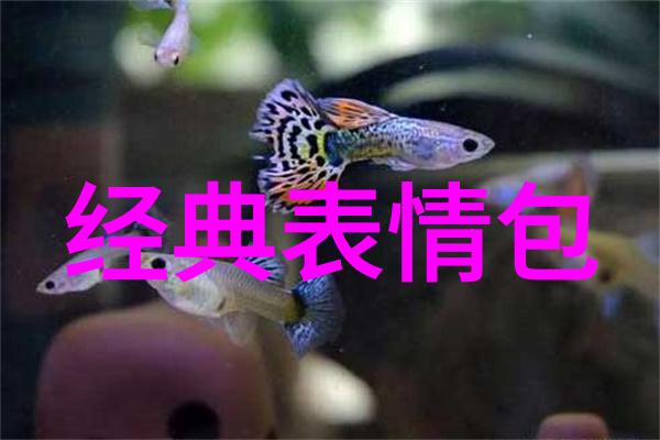 女明星如何平衡工作和个人隐私避免媒体炒作