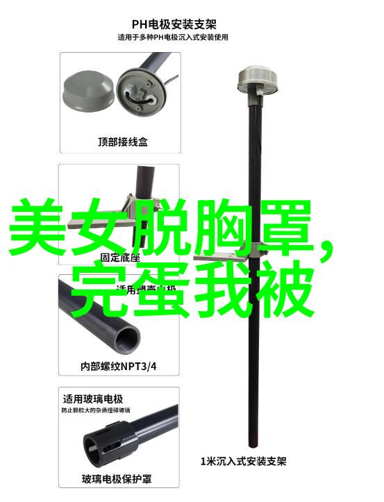 中元节的传统意义与现代庆祝活动农历七月初七的丰收节日
