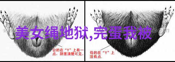 字源之谜汉字的秘密历史