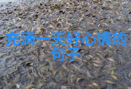牵手共舞亲密接触的艺术