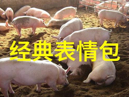 浪漫旋律的女生QQ网名抱着诗篇呼吸刻骨铭心