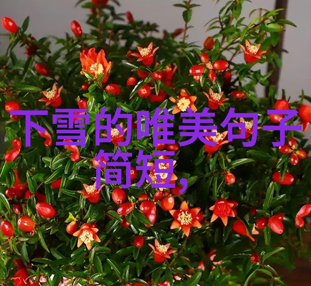 美女性感图片-捕捉时尚之美剖析那些令人沉醉的女性写真