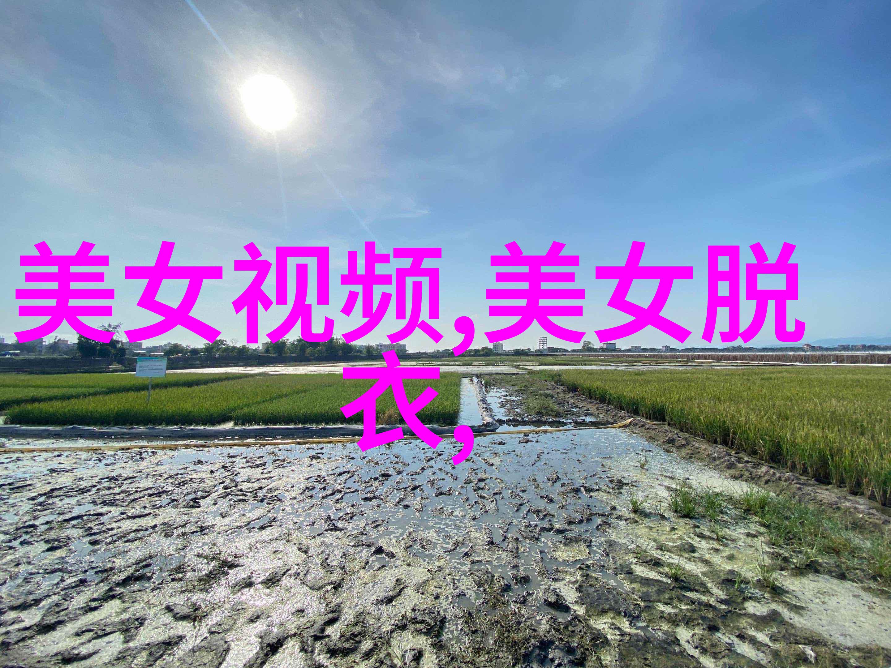 春节的意义与文化背后探索12月9日这一特殊日子