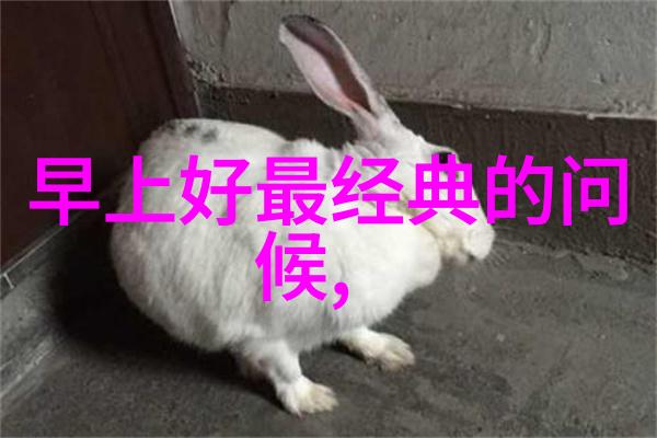 晨曦序言探索有品位的早安句子在学术语境中的文化价值与哲学内涵