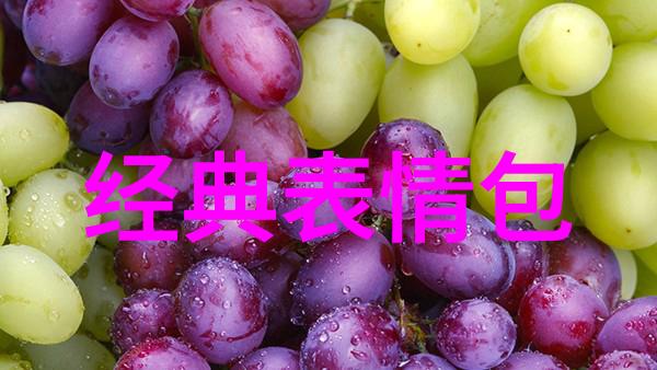 中国十大网络红人之首斗鱼大舅哥在户外越野探险中遭遇天灾人祸却神奇地完好无损