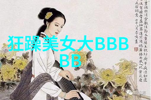 还珠格格野传荒漠中的奇缘与梦想