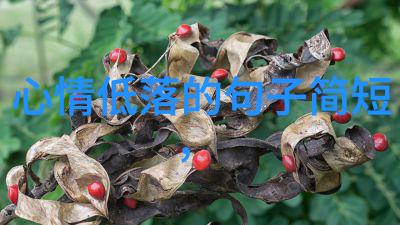 无心法师电视剧 葛玥最后的结局与董晴个人资料介绍