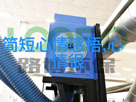 岁月的序章9月9日背后的故事