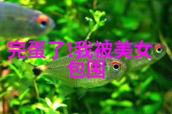 银幕下的魅力男明星的摄影故事