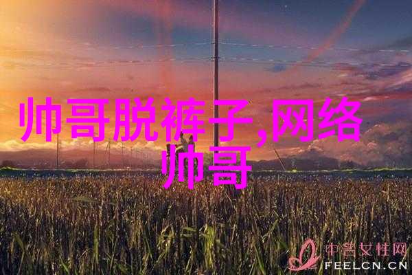 微信群大全如何高效管理你的社交圈