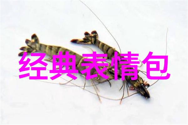 明星大侦探第一季光芒下的谜团