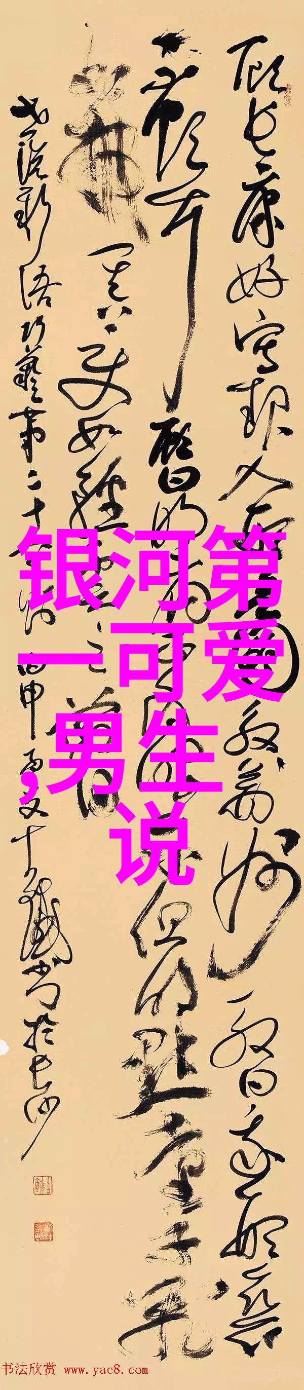 汉字的魅力文化传承与审美价值的交响