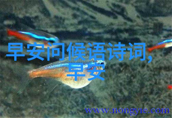 心情不好的时候怎么办 - 转败为成长的策略与实用技巧
