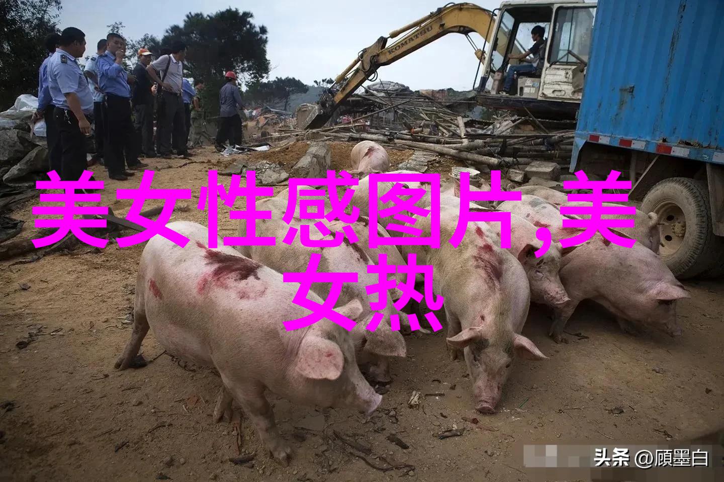 金贤重赴花样男子拍摄现场途中遇车祸
