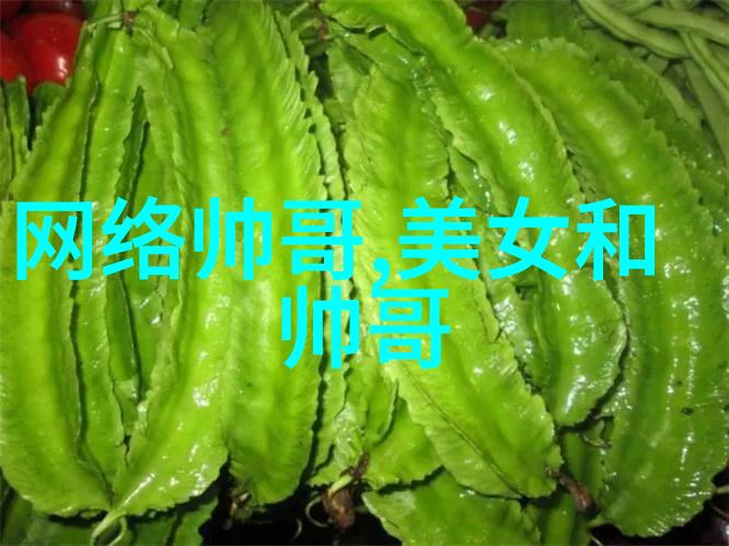 梦幕轻纱少女心绘的幻想世界