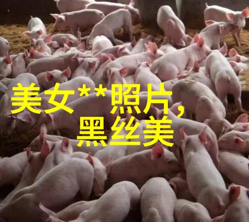 两人相爱到老的网名永恒之恋莪啈冨