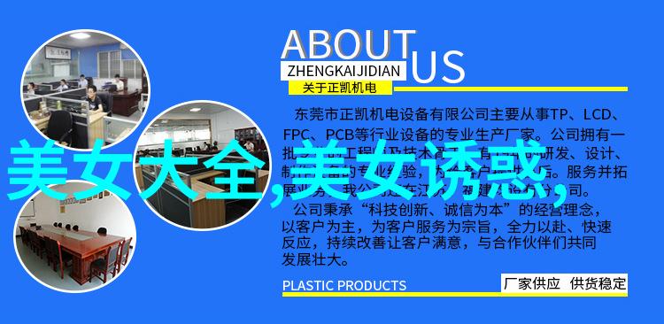 美人效应-迷人的魅力揭秘美貌如何影响他人的行为与认知