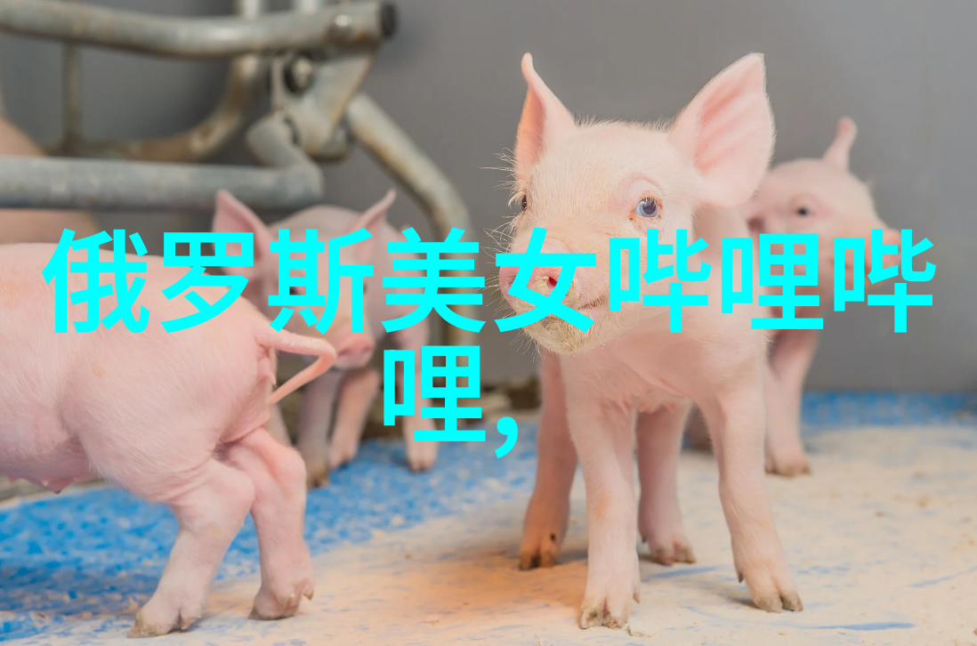 美国十大恐怖电影必看-阴影中的经典探索美国十部不可错过的惊悚之作
