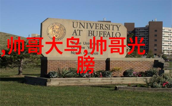 什么是最能让你感受到一路繁花的温暖