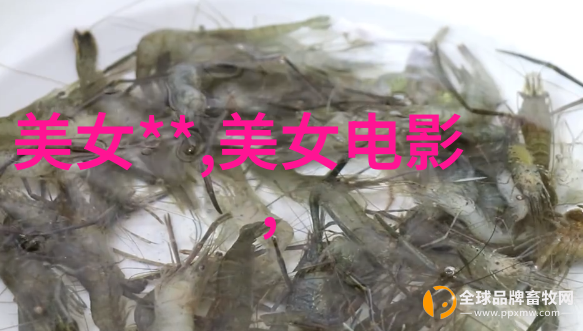 美丽辉映探秘电视台最耀眼的美女主播