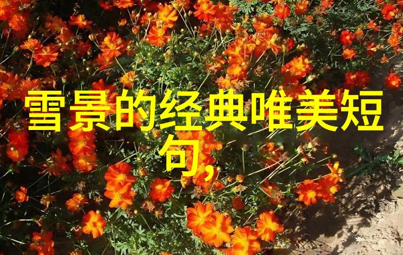 早安晨语阳光带来的温暖笑容