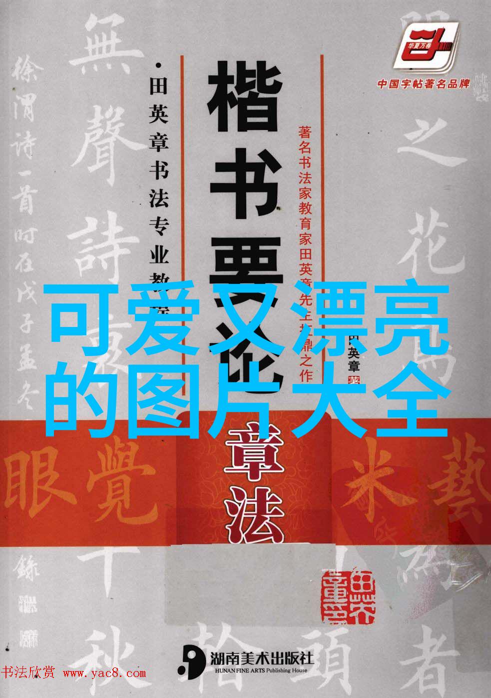 走进这个世界上最迷人角落  论现代社会中男人形象与传统英俊标准之间的差距