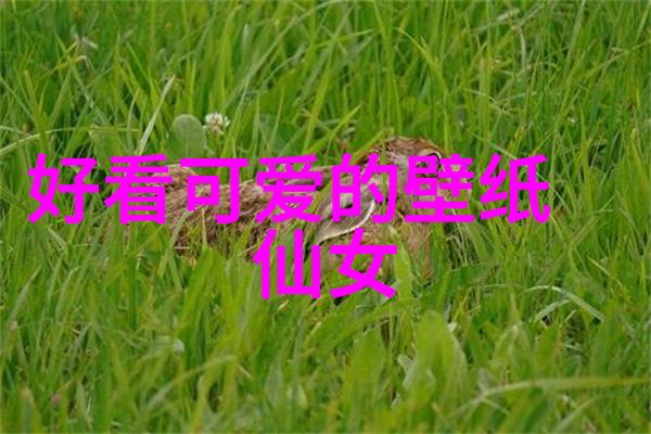 青春绘梦花琉璃轶闻
