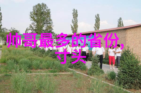 在这人心冷漠的社会暴富与暴瘦同样是我们追求的梦想