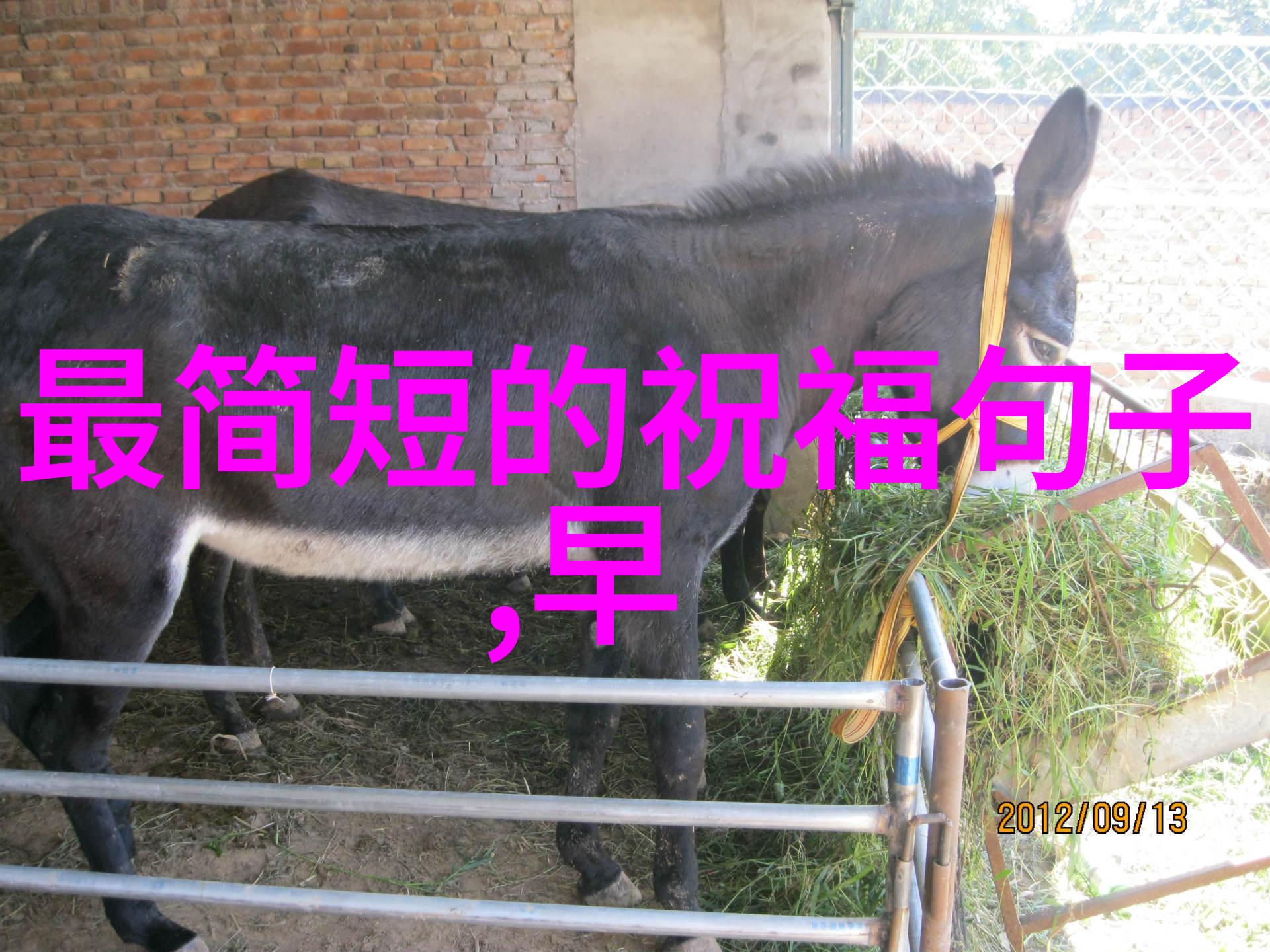 探索2020年卡通界的新星最新流行角色图片