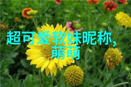 美艳如花的女子图集令人心动不已