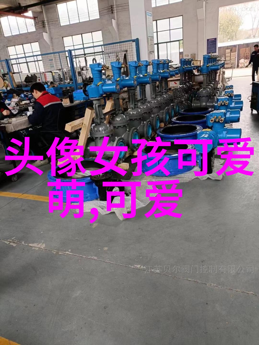 中国网红之花各省争艳如织哪一枝能夺目共鸣