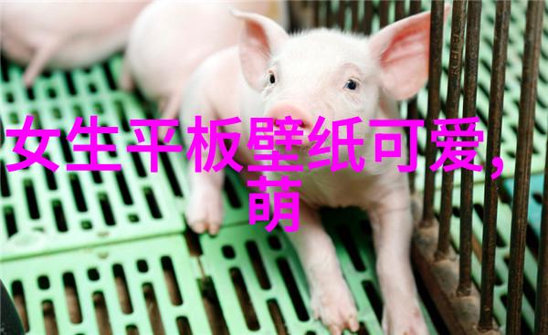美国节日 - 独特的庆祝美国四大主要节日的文化探究