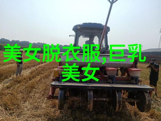 美丽与帅气的完美结合探索美女帅哥文化中的魅力