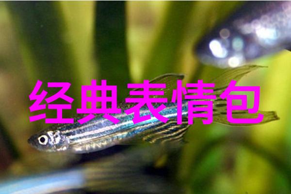 女人什么网名能充满正能量最新的励志网名大全等你来选择