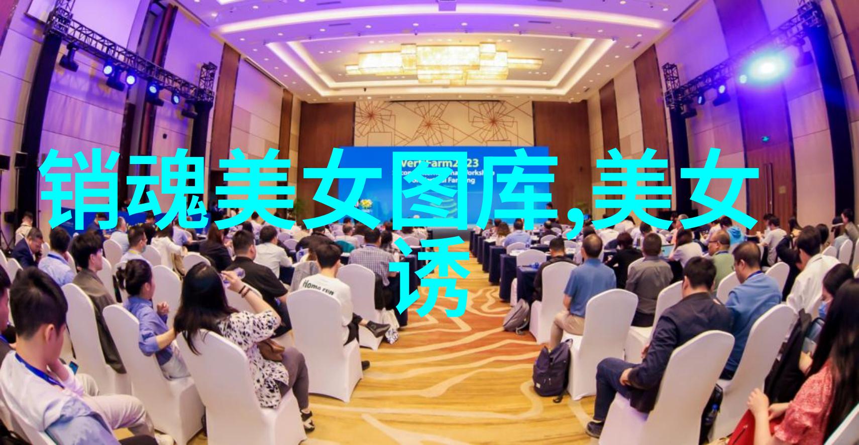 零成本交流免费聊天软件的魅力与实用性
