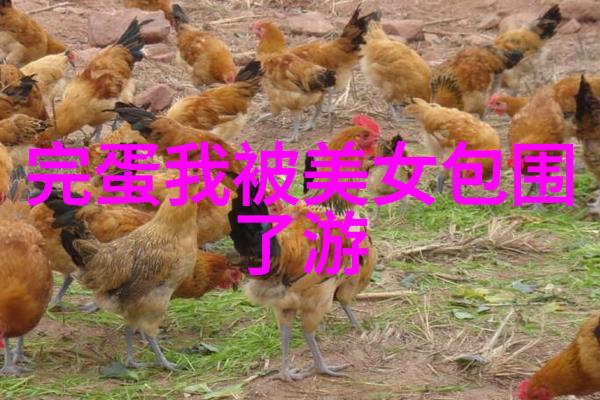 精美卡通图片我眼中的笑颜世界