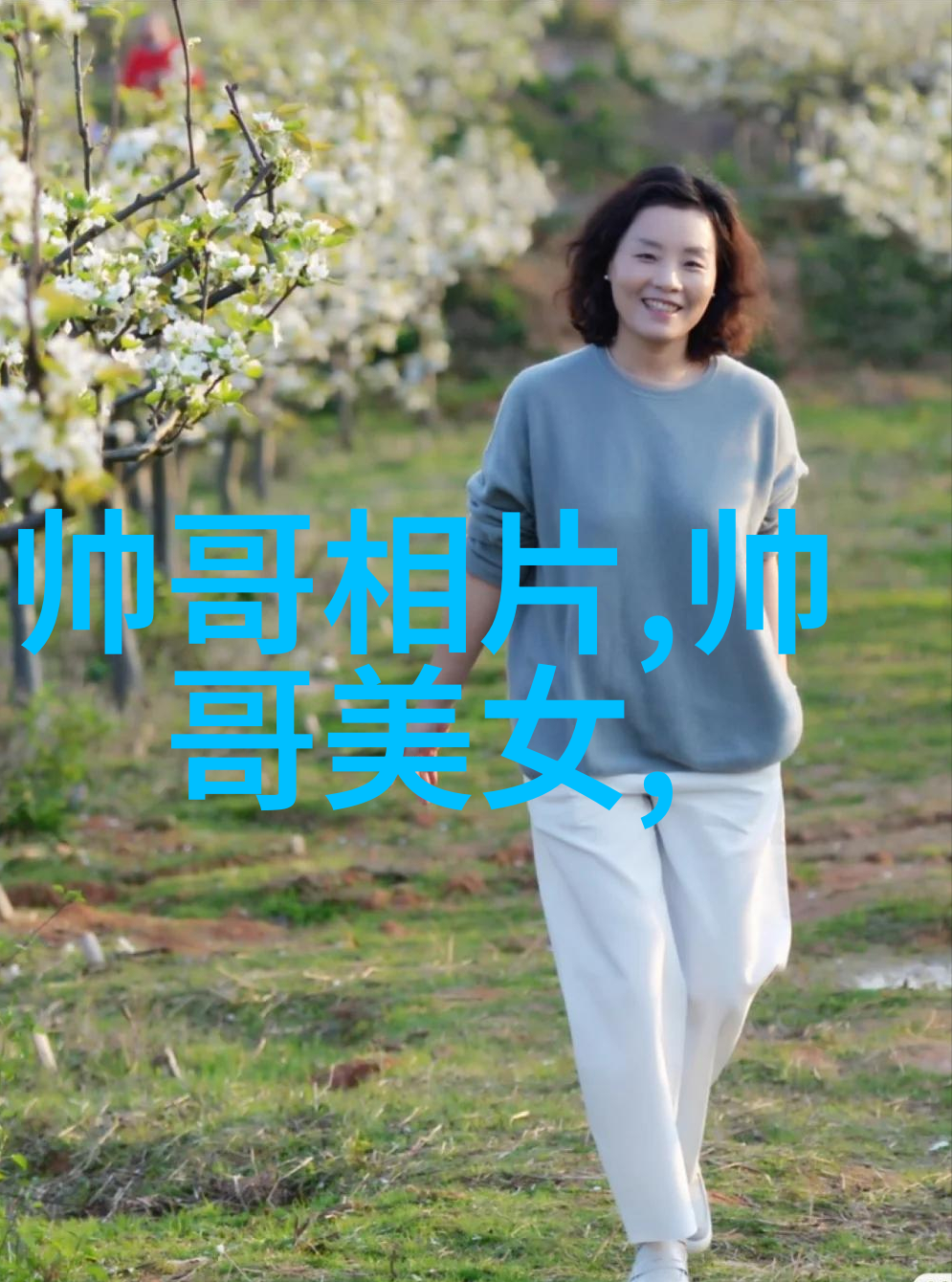 卡通简笔画图鉴全集