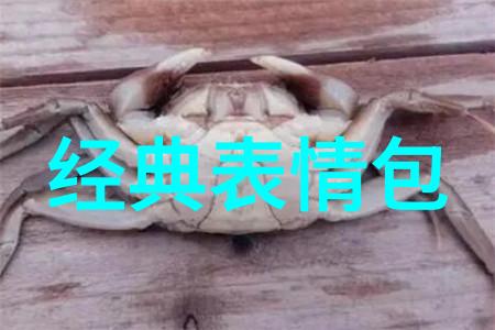 跨文化盛宴世界少数民族的传统节日大探秘