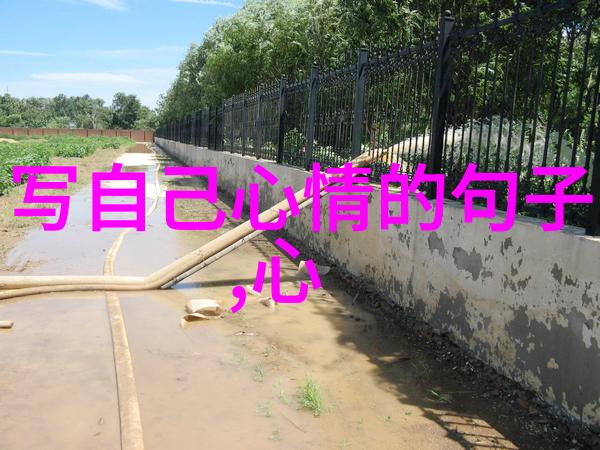 2013年英雄联盟明星赛一个跨越世界上分为几个大陆的盛宴2013英雄联盟全明星赛中国梦之队成员今日揭