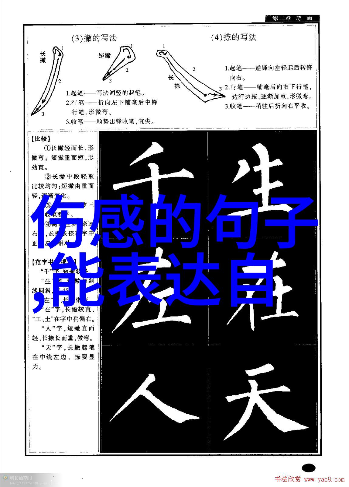 绚彩少年探索卡通世界的帅气魅力