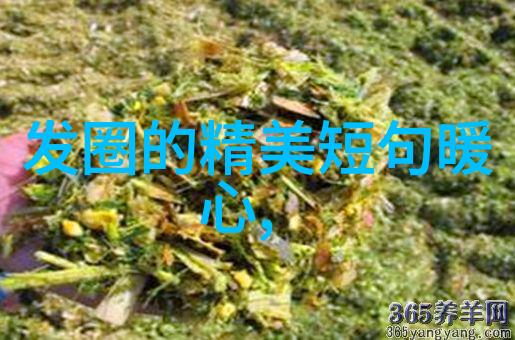 全网最酷的网名仿佛生活中的诗篇超好听的三个字文艺游戏名青春祭它以温柔的声音悄无声息地占据了每个人的心