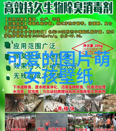探索生命之花的秘密踏入小蕾的深渊