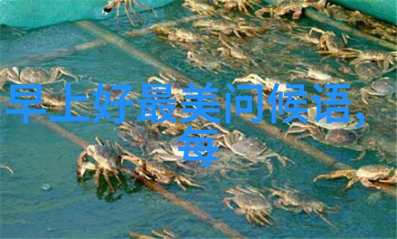 胡梦媛的秘密3345之谜