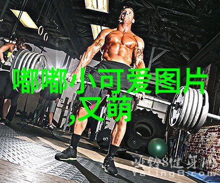 今天是什么特殊的节日-春节传统与现代的交响篇