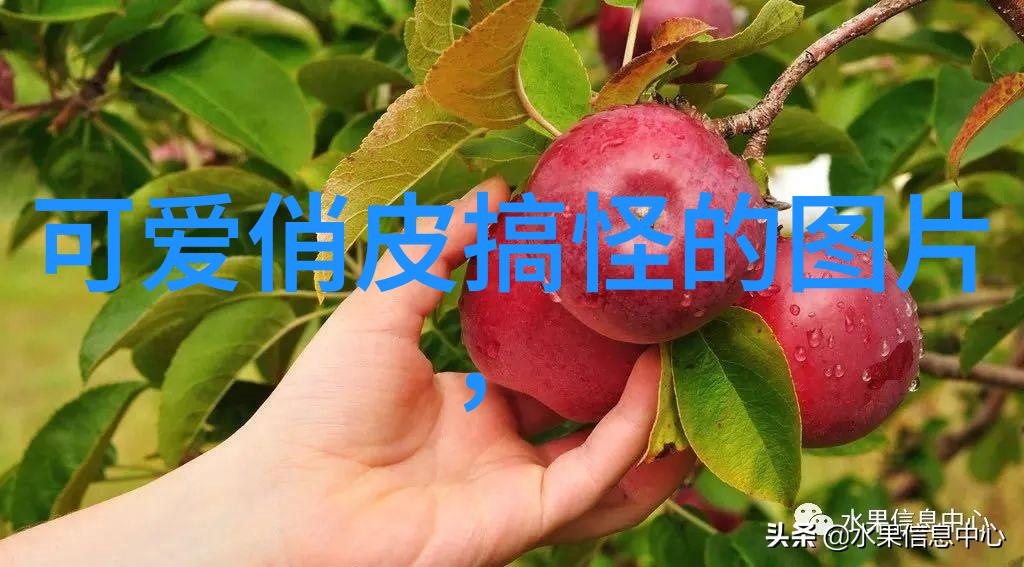 财富聚宝盆精选带来财运的群名佳选