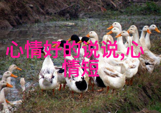 笑容满面的卡通女孩探索可爱图片中的童真魅力