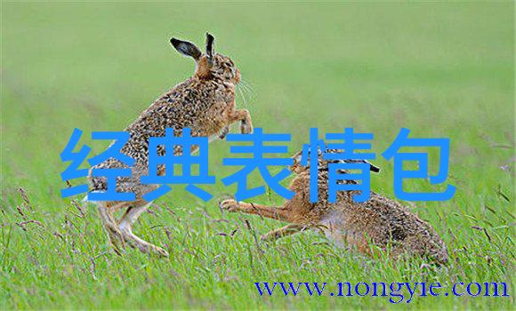 心凉了的扎心的句子我听到你说别管他他命运自己知道