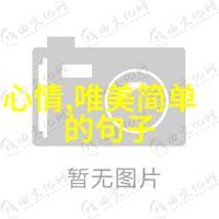 披荆斩棘2初舞台镜头好真实最近比较火的恋爱综艺中皱纹清晰可见少上滤镜反获赞