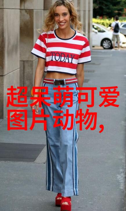 探秘古文字汉字背后的故事与智慧